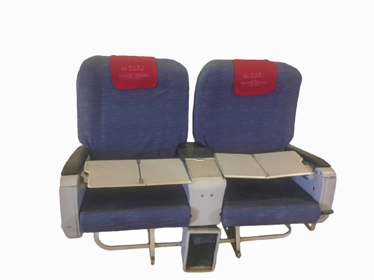 Airbus A320 Business Calss Double Front Trays Down